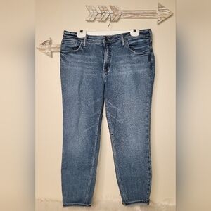 Silver Jean Company Size 33 x 26